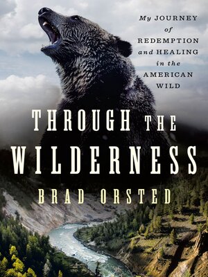 cover image of Through the Wilderness